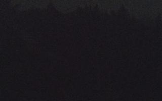 Laskowa pośredni - 13-12-2025 16:53