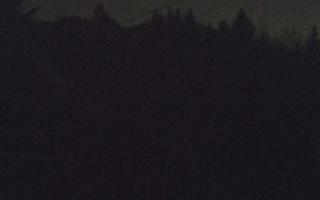 Laskowa pośredni - 18-12-2025 03:33