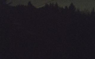 Laskowa pośredni - 18-12-2025 03:55