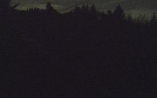 Laskowa pośredni - 18-12-2025 04:50