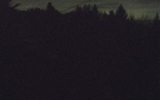 Laskowa pośredni - 18-12-2025 05:01