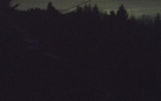 Laskowa pośredni - 18-12-2025 05:12