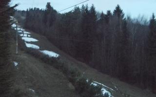 Laskowa pośredni - 18-12-2025 05:45