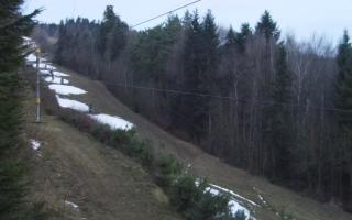 Laskowa pośredni - 18-12-2025 05:56