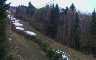 Laskowa pośredni - 18-12-2025 07:13