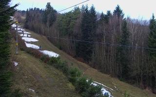 Laskowa pośredni - 18-12-2025 07:35