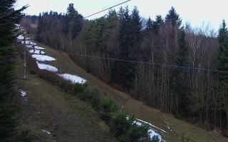 Laskowa pośredni - 18-12-2025 07:57