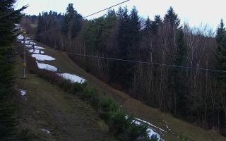 Laskowa pośredni - 18-12-2025 08:19