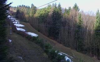 Laskowa pośredni - 18-12-2025 09:03