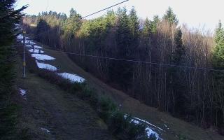 Laskowa pośredni - 18-12-2025 09:35