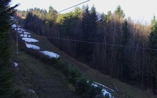 Laskowa pośredni - 18-12-2025 09:57