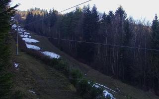 Laskowa pośredni - 18-12-2025 11:03