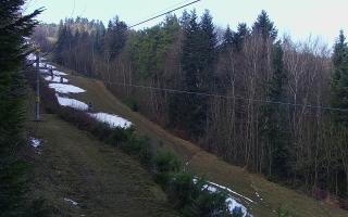 Laskowa pośredni - 18-12-2025 11:36