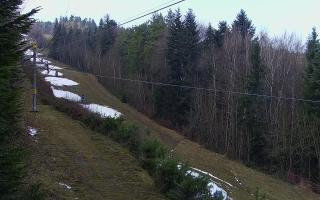 Laskowa pośredni - 18-12-2025 12:20