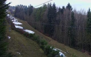 Laskowa pośredni - 18-12-2025 12:53