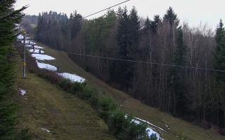 Laskowa pośredni - 18-12-2025 13:15