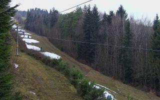 Laskowa pośredni - 18-12-2025 13:48