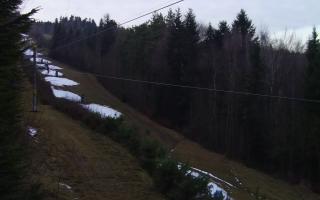 Laskowa pośredni - 18-12-2025 15:05