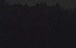 Laskowa pośredni - 18-12-2025 22:24