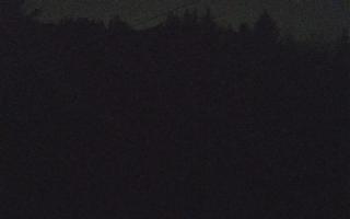 Laskowa pośredni - 18-12-2025 22:35