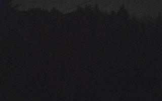 Laskowa pośredni - 18-12-2025 22:46