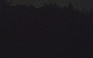 Laskowa pośredni - 18-12-2025 23:19