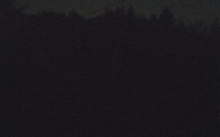 Laskowa pośredni - 18-12-2025 23:30