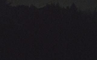 Laskowa pośredni - 18-12-2025 23:41