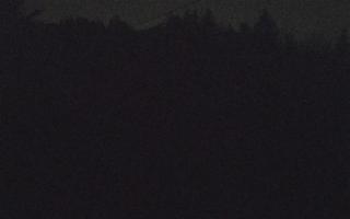 Laskowa pośredni - 19-12-2025 00:03