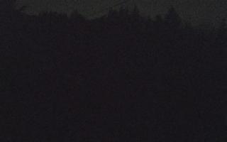 Laskowa pośredni - 19-12-2025 00:36