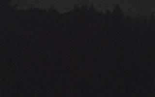 Laskowa pośredni - 19-12-2025 00:47