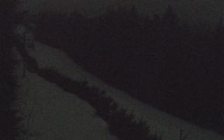 Laskowa pośredni - 01-01-2026 01:54