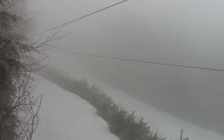 Laskowa pośredni - 29-01-2026 12:52