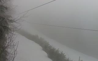 Laskowa pośredni - 29-01-2026 13:03