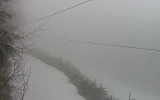 Laskowa pośredni - 29-01-2026 14:31