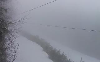 Laskowa pośredni - 29-01-2026 14:42