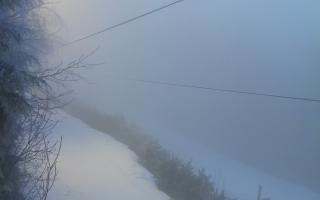 Laskowa pośredni - 29-01-2026 15:37