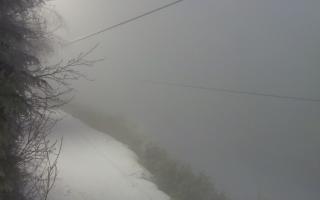 Laskowa pośredni - 29-01-2026 15:59