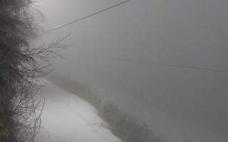 Laskowa pośredni - 29-01-2026 16:10