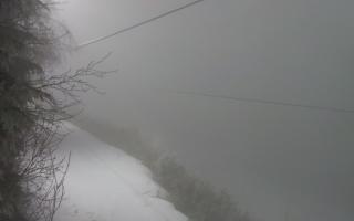 Laskowa pośredni - 29-01-2026 17:48