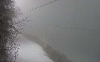 Laskowa pośredni - 29-01-2026 17:59