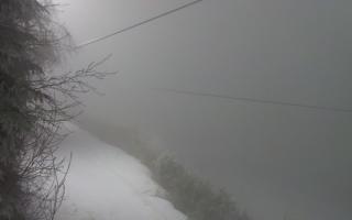 Laskowa pośredni - 29-01-2026 18:21