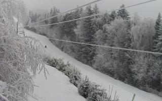 Laskowa pośredni - 01-02-2026 06:55