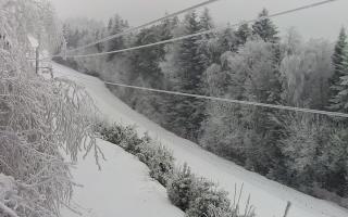 Laskowa pośredni - 01-02-2026 07:06