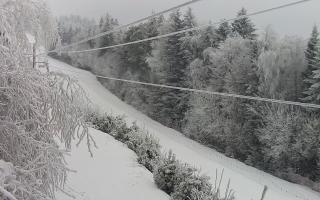 Laskowa pośredni - 01-02-2026 07:17