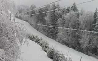 Laskowa pośredni - 01-02-2026 07:28