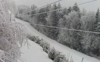 Laskowa pośredni - 01-02-2026 07:39