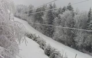 Laskowa pośredni - 01-02-2026 07:50