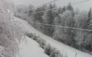 Laskowa pośredni - 01-02-2026 08:01