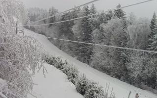 Laskowa pośredni - 01-02-2026 08:12